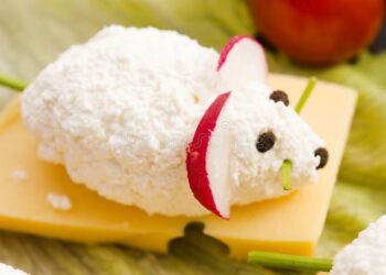 Comment nourrir un souriceau orphelin ?