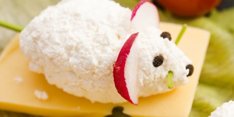 Comment nourrir un souriceau orphelin ?