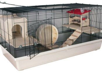 Comment nourrir une souris ?