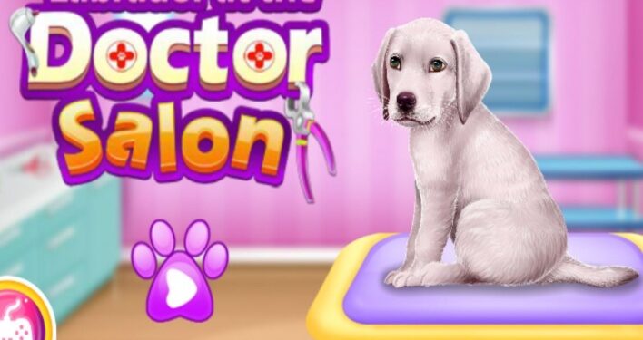 Comment occuper un chien quand on part ?