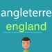 Comment on dit guêpe en anglais ?