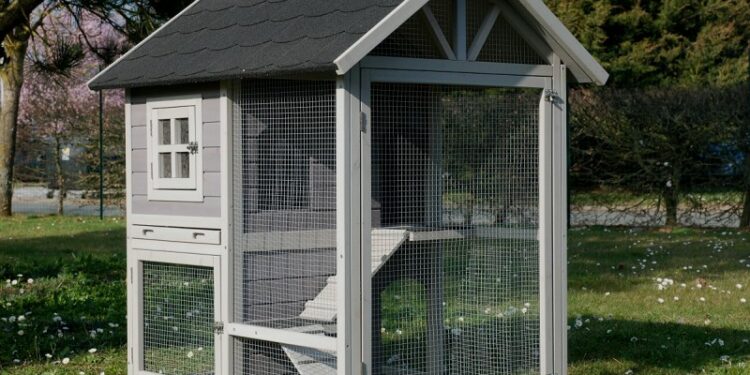 Comment organiser la cage d'un furet ?