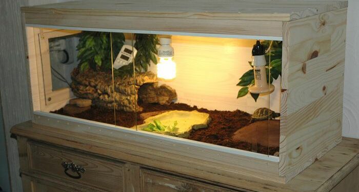 Comment organiser un terrarium pour tortue ?