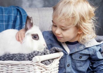 Comment porter un lapin qui se débat ?