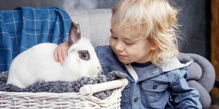 Comment porter un lapin qui se débat ?