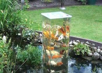 Comment préparer l'eau d'un aquarium ?