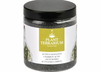 Comment préparer un terrarium ?