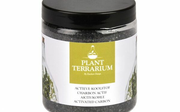 Comment préparer un terrarium ?