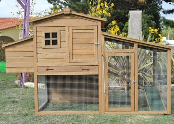 Comment protéger le sol d'un poulailler ?