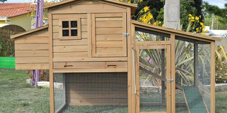 Comment protéger le sol d'un poulailler ?