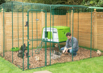 Comment protéger le sol d'un poulailler ?