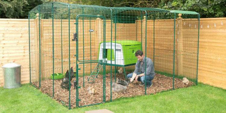 Comment protéger le sol d'un poulailler ?