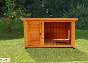 Comment protéger les lapins des prédateurs ?