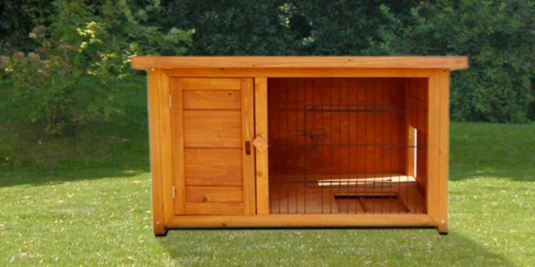 Comment protéger les lapins des prédateurs ?