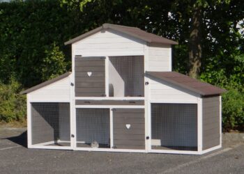 Comment protéger un lapin du froid ?