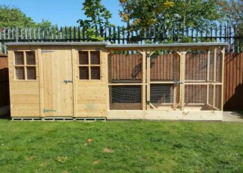 Comment protéger un lapin du froid ?