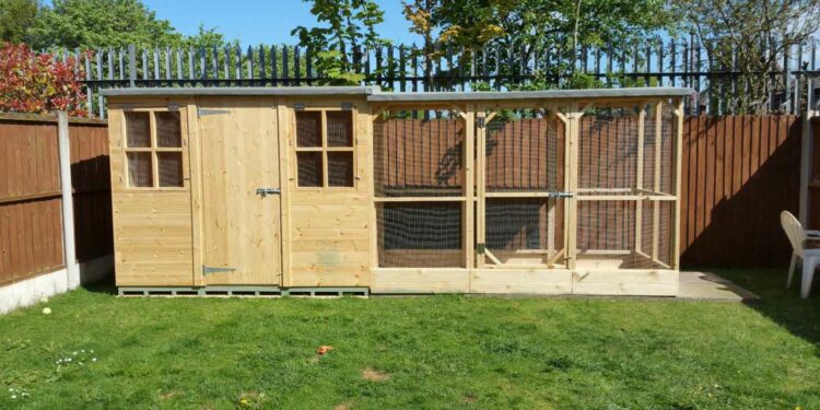 Comment protéger un lapin du froid ?