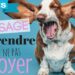 Comment punir son chien quand il aboie ?