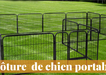 Comment punir un chien qui se sauve ?