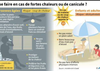 Comment rafraîchir un lapin quand il fait chaud ?