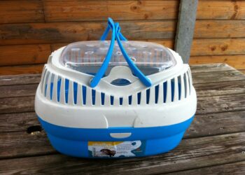 Comment rassurer son lapin en voiture ?