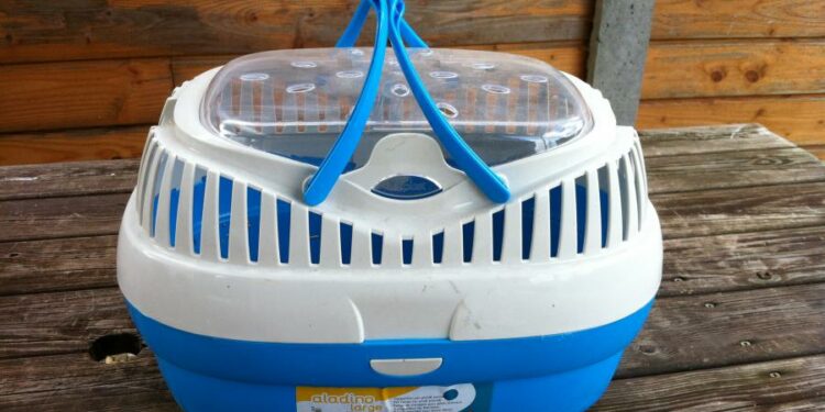 Comment rassurer son lapin en voiture ?