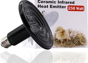 Comment réchauffer un petit chiot ?