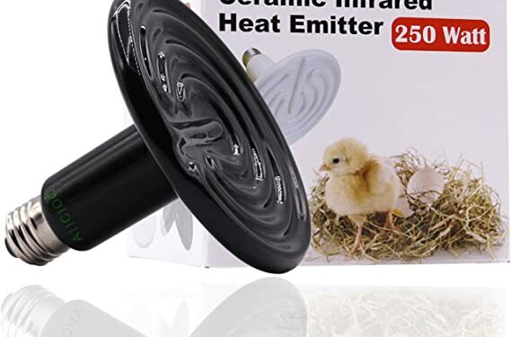 Comment réchauffer un petit chiot ?