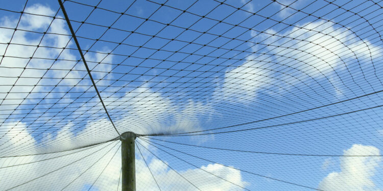 Comment recouvrir le toit d'un poulailler ?