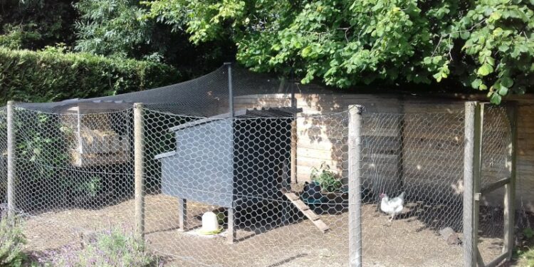 Comment recouvrir le toit d'un poulailler ?