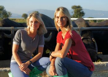 Comment regarder un film en replay sur C8 ?