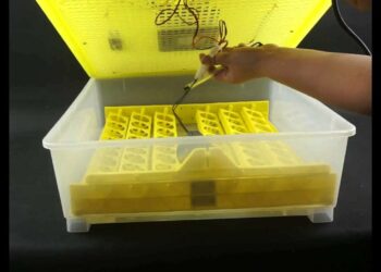 Comment régler le taux d'humidité de ma couveuse ?