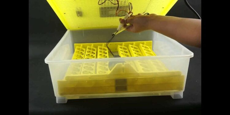 Comment régler le taux d'humidité de ma couveuse ?