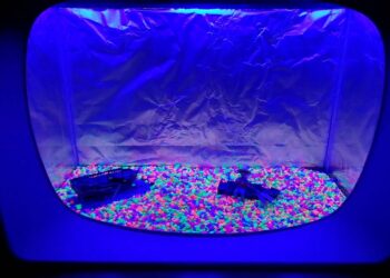 Comment remplacer des néons par des LED ?