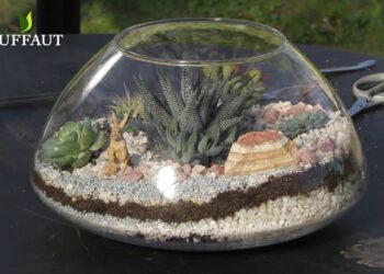 Comment remplir un terrarium ?