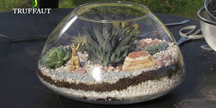 Comment remplir un terrarium ?