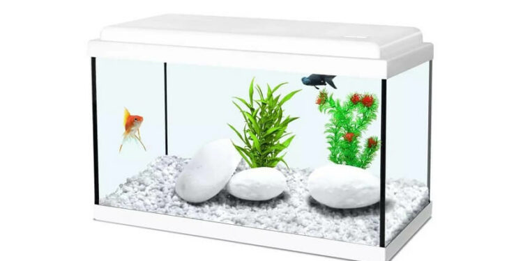 Comment rendre heureux un combattant ?