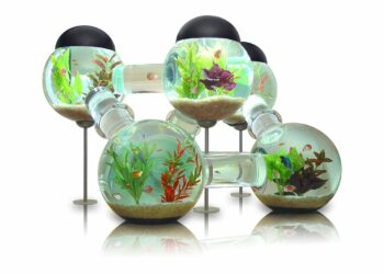 Comment rendre heureux un combattant ?