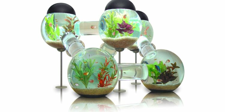 Comment rendre heureux un combattant ?