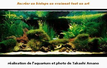 Comment rendre heureux un combattant ?