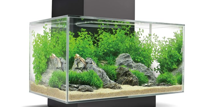 Comment rendre heureux un combattant ?