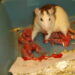 Comment rendre heureux un rat ?