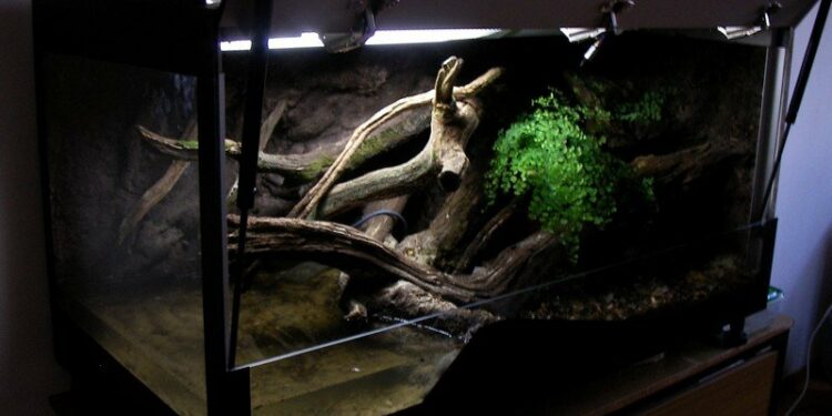 Comment rendre heureux un serpent ?