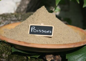 Comment rendre le poisson tendre ?