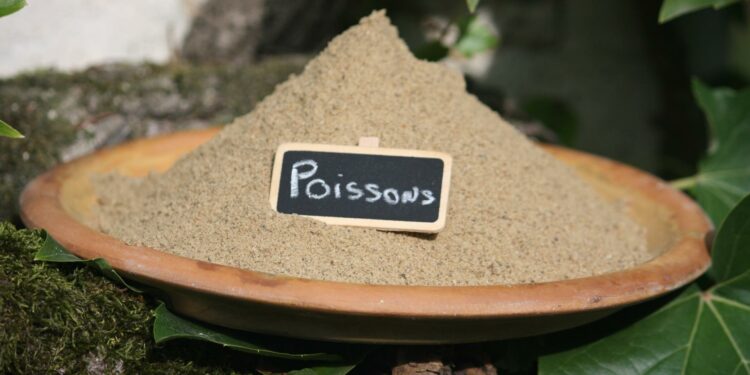 Comment rendre le poisson tendre ?