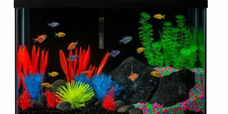 Comment rendre un axolotl heureux ?