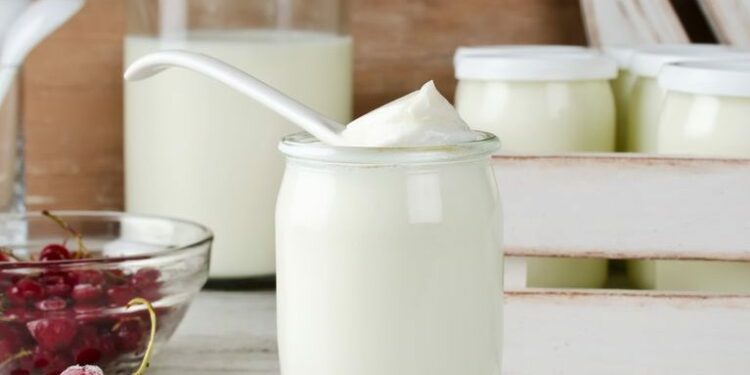 Comment rendre une chatière silencieuse ?