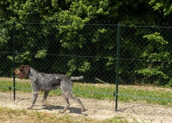 Comment renforcer grillage souple ?