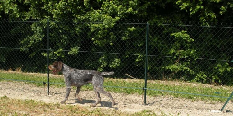 Comment renforcer grillage souple ?