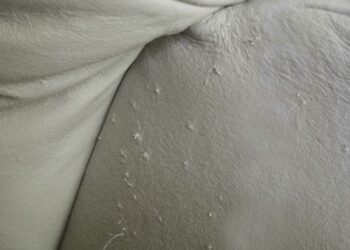 Comment réparer un accroc dans le cuir ?